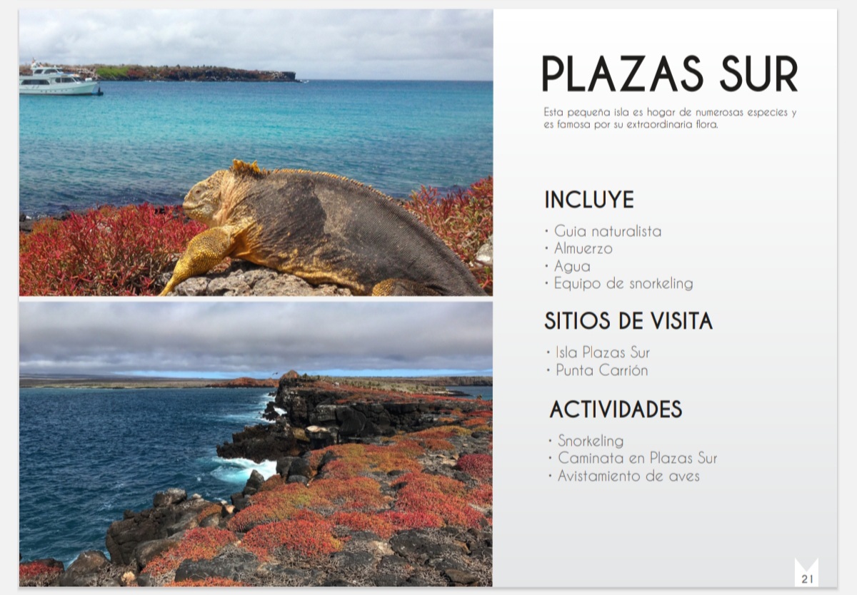 View of Plazas